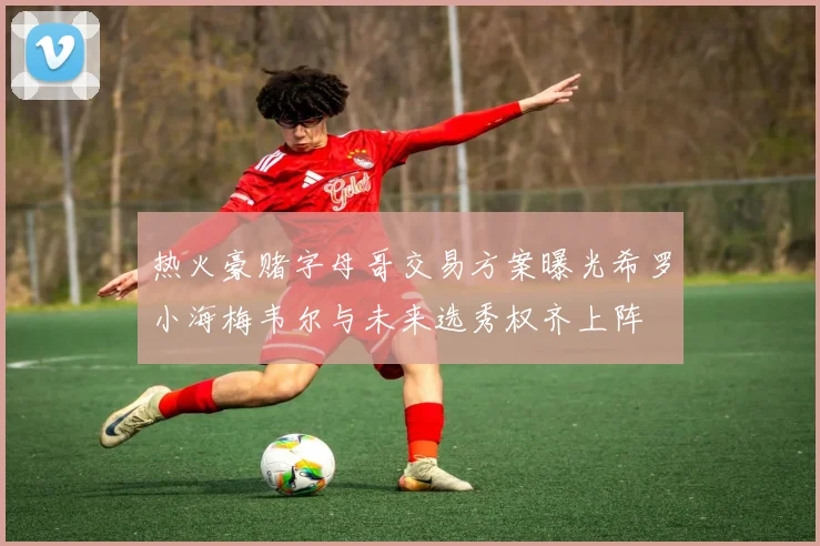 热火豪赌字母哥交易方案曝光希罗小海梅韦尔与未来选秀权齐上阵
