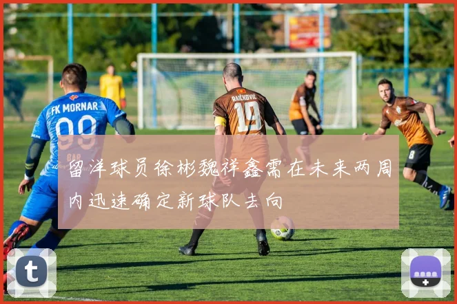 留洋球员徐彬魏祥鑫需在未来两周内迅速确定新球队去向