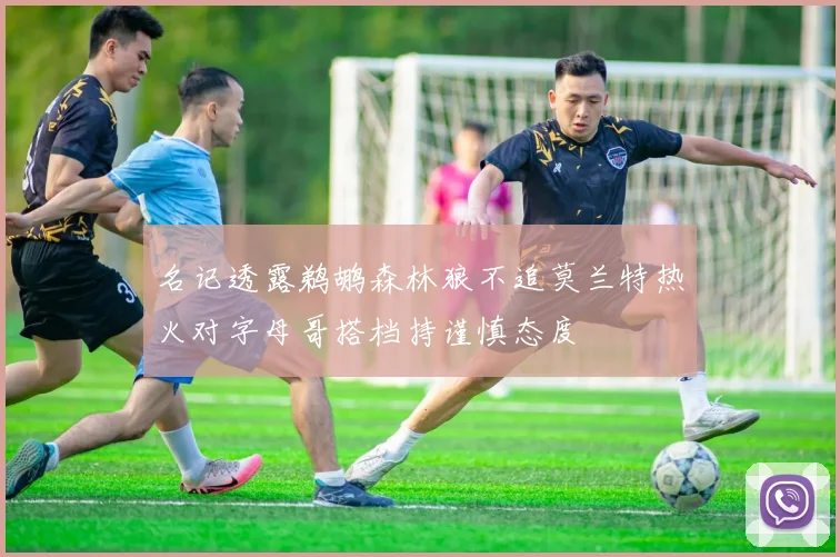 名记透露鹈鹕森林狼不追莫兰特热火对字母哥搭档持谨慎态度