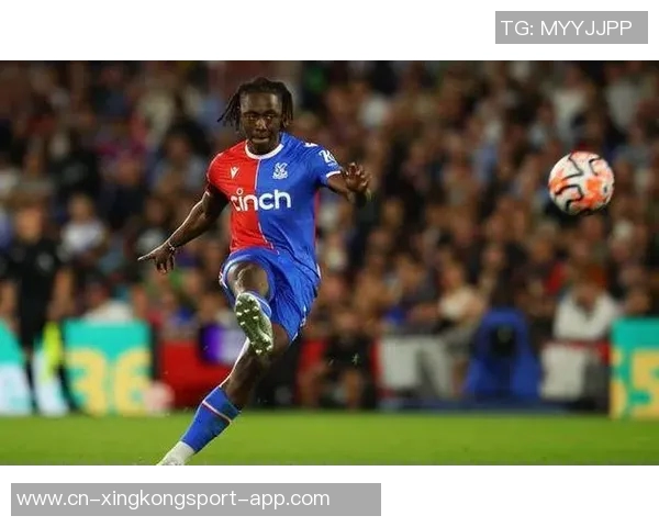 前水晶宫老板遭9700万美元索赔多家俱乐部集团陷入财务危机